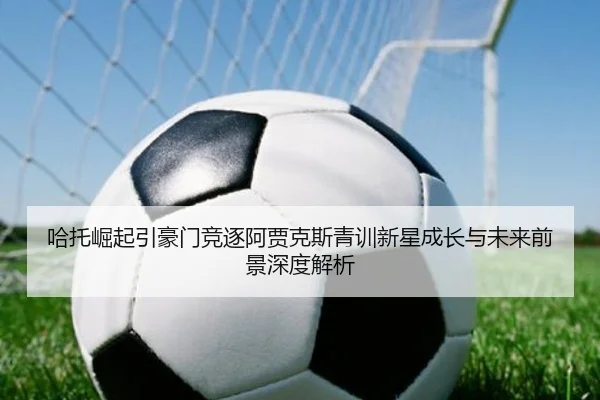 哈托崛起引豪门竞逐阿贾克斯青训新星成长与未来前景深度解析